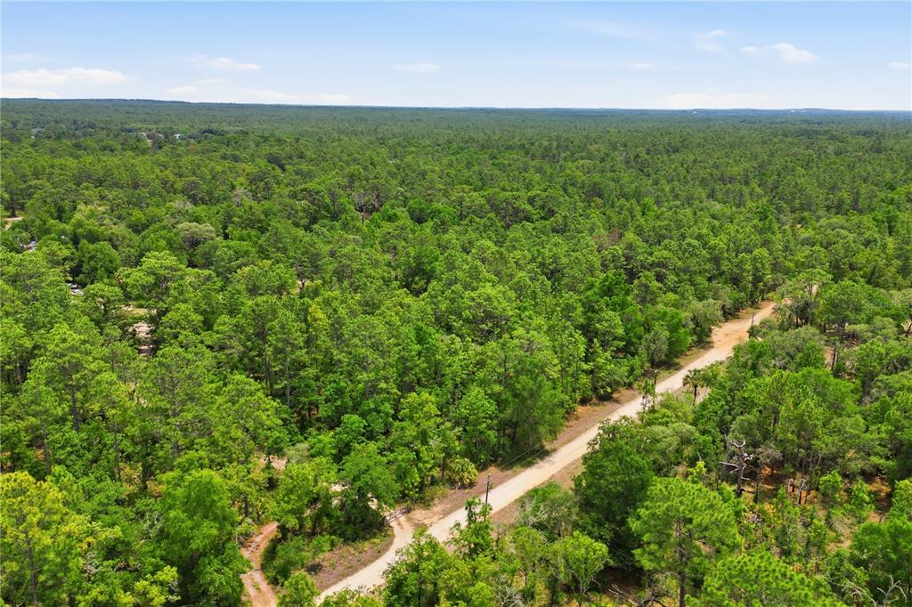 An aerial view shows a dirt road winding through a dense, green forest — 5339 N LACE POINT, DUNNELLON, FL