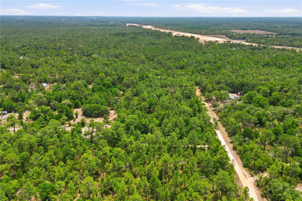 An aerial view shows a dirt road winding through a dense, wooded forest landscape — 5339 N LACE POINT, DUNNELLON, FL