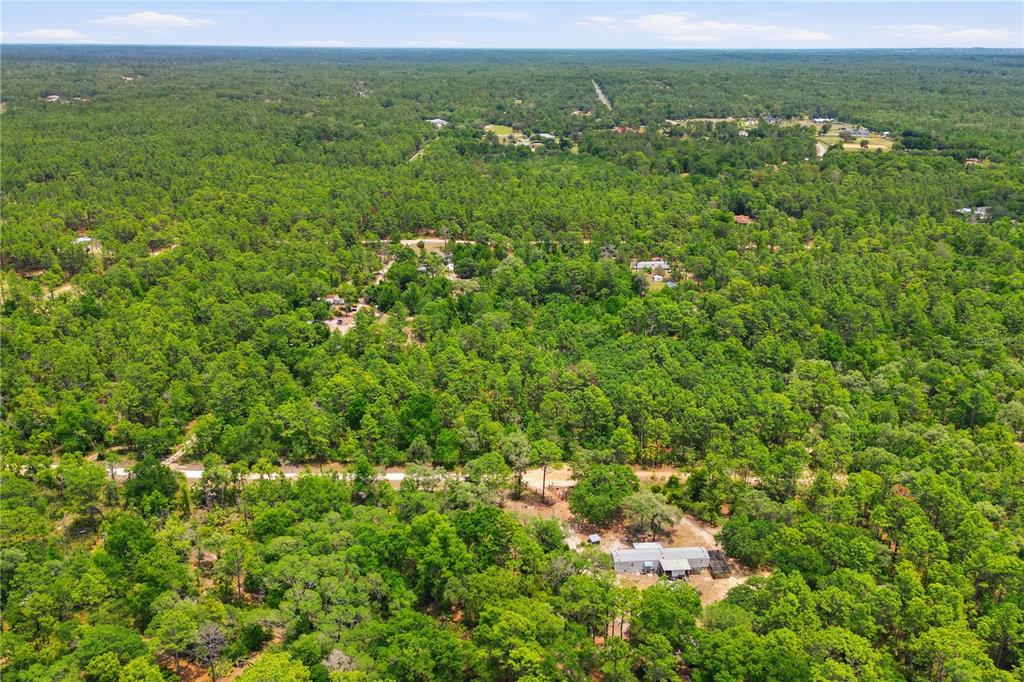 An aerial view shows a house surrounded by a dense forest and dirt roads — 5339 N LACE POINT, DUNNELLON, FL