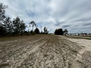 A wide, vacant dirt lot features scattered patches of grass and a line of trees — 1826 NE 37TH STREET, CAPE CORAL, FL