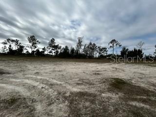 A wide, flat, cleared dirt lot features a line of trees against a cloudy sky — 1826 NE 37TH STREET, CAPE CORAL, FL