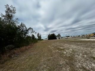 A wide, grassy vacant lot is bordered by a line of trees under a cloudy sky — 1826 NE 37TH STREET, CAPE CORAL, FL