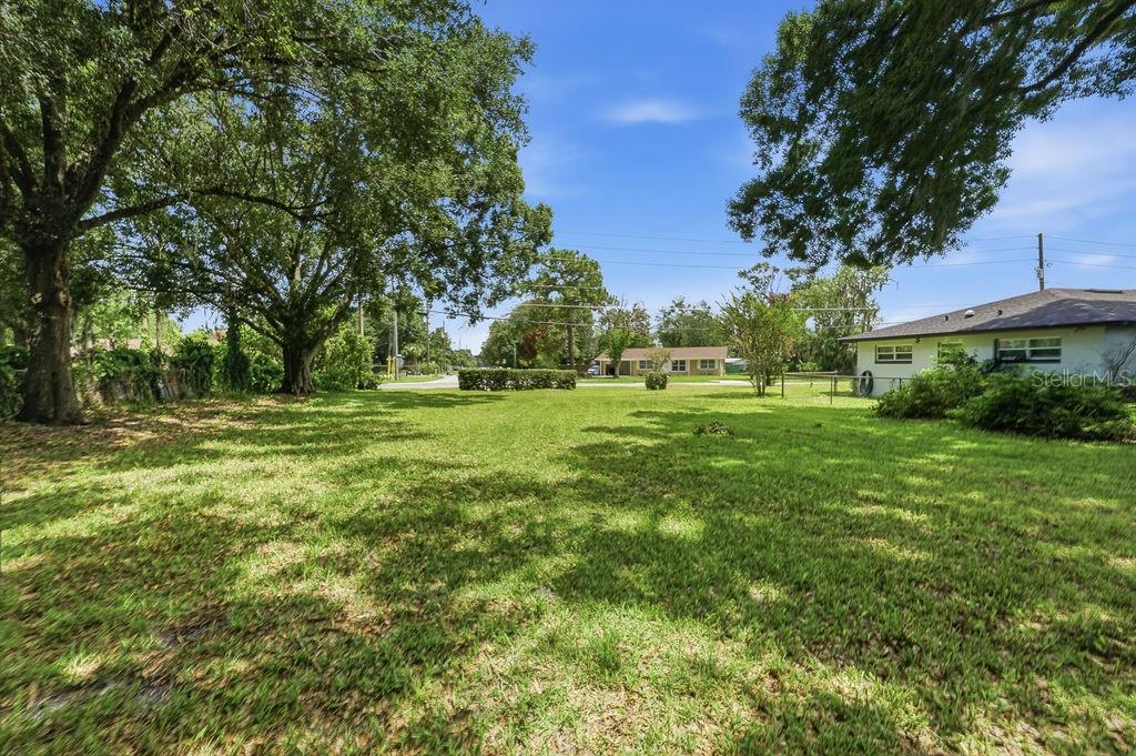 A large, grassy vacant lot is framed by mature trees under a clear blue sky — MILLINOCKETT LANE, ORLANDO, FL