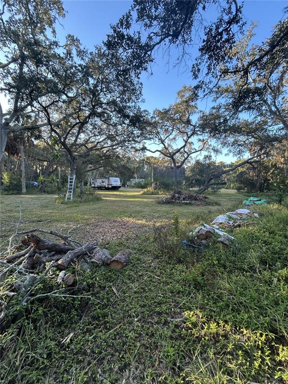 A grassy lot features mature trees, a parked recreational vehicle, and piles of cut wood — 14428 GUAVA STREET, HUDSON, FL