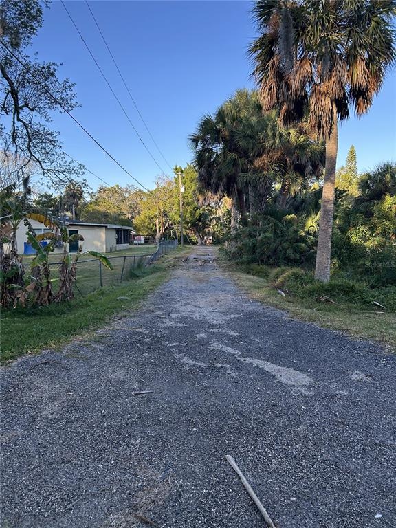 A gravel driveway leads past a house and palm trees toward a wooded area — 14428 GUAVA STREET, HUDSON, FL