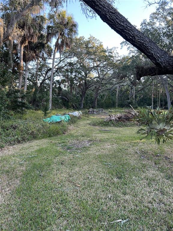 A grassy, wooded lot features a large overhanging tree branch and scattered yard debris — 14428 GUAVA STREET, HUDSON, FL