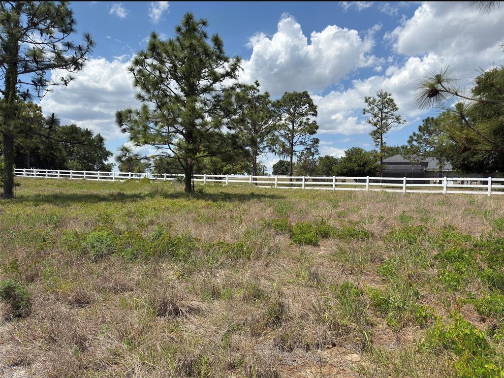 A grassy, undeveloped lot features scattered pine trees and a white split-rail fence — 6115 RANCH LAKE ROAD, GROVELAND, FL