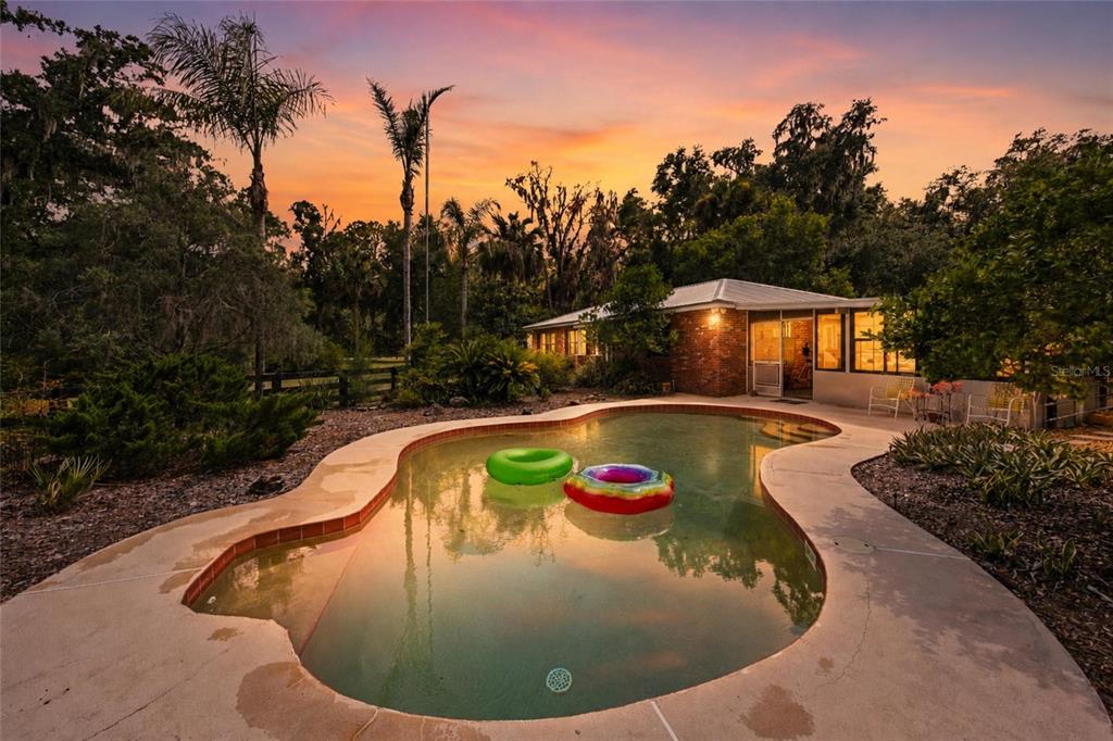 An outdoor swimming pool with two inflatable rings sits in front of a brick house — 40847 COUNTY ROAD 439, UMATILLA, FL
