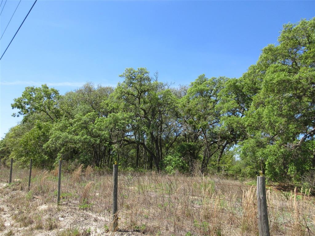 A wire fence borders a grassy field in front of a dense line of trees — 5439 W OAKHILL STREET, DUNNELLON, FL