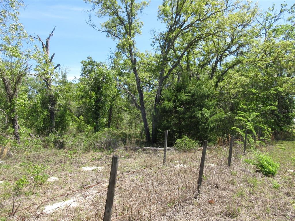 A wire fence runs along the foreground of a wooded, undeveloped lot with mature trees — 5439 W OAKHILL STREET, DUNNELLON, FL