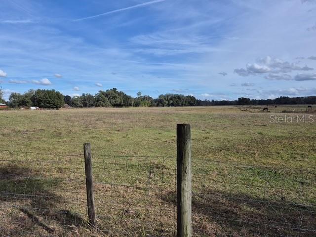 0 CR 755, WEBSTER, FL — photo 3 of 14