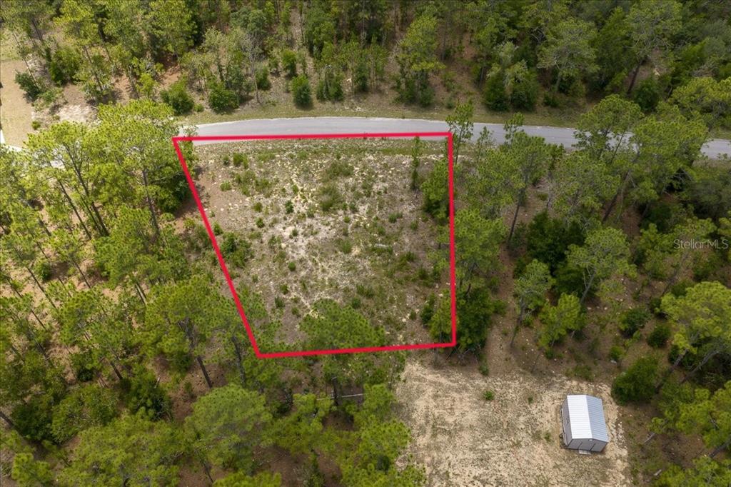 An aerial view shows a vacant, wooded lot outlined in red next to a paved road — NE 4TH LANE, WILLISTON, FL