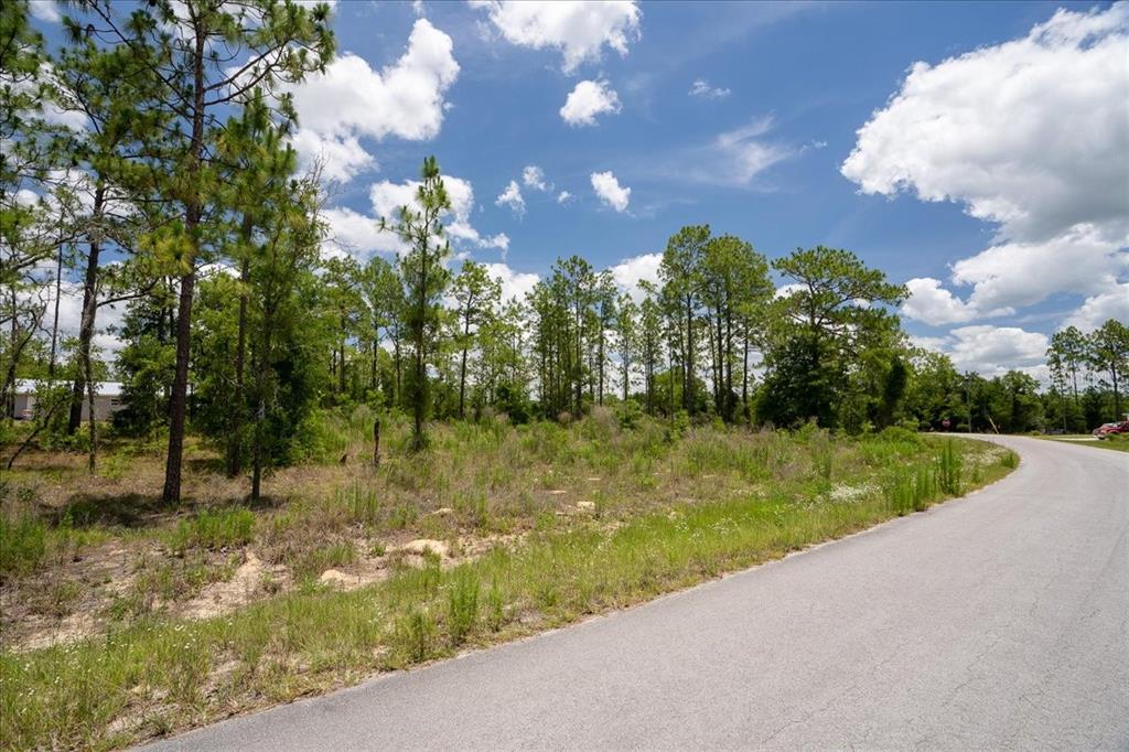 A vacant, grassy lot with scattered pine trees sits beside a paved asphalt road — NE 4TH LANE, WILLISTON, FL