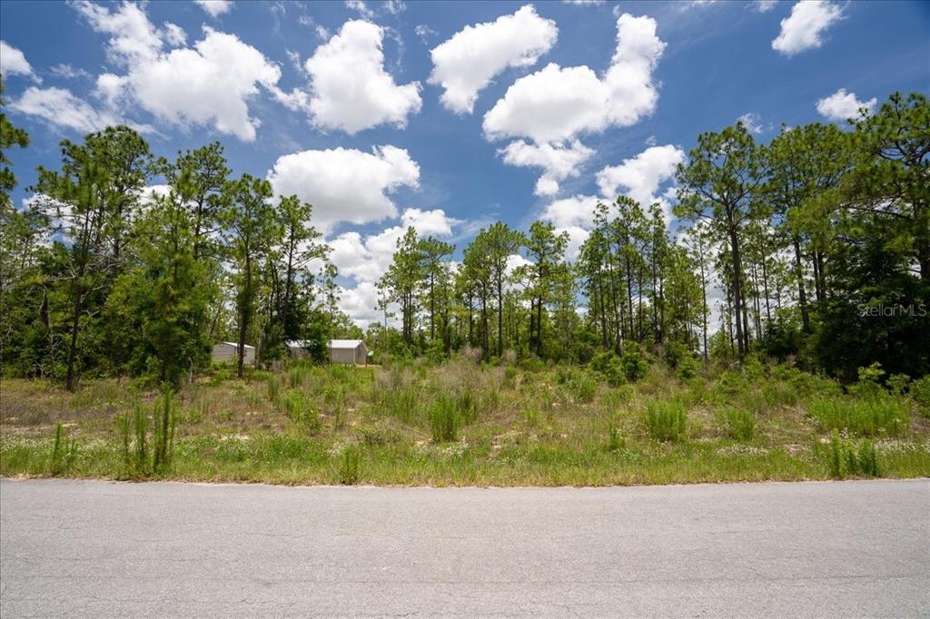A vacant, grassy lot with scattered trees and a small structure in the background — NE 4TH LANE, WILLISTON, FL
