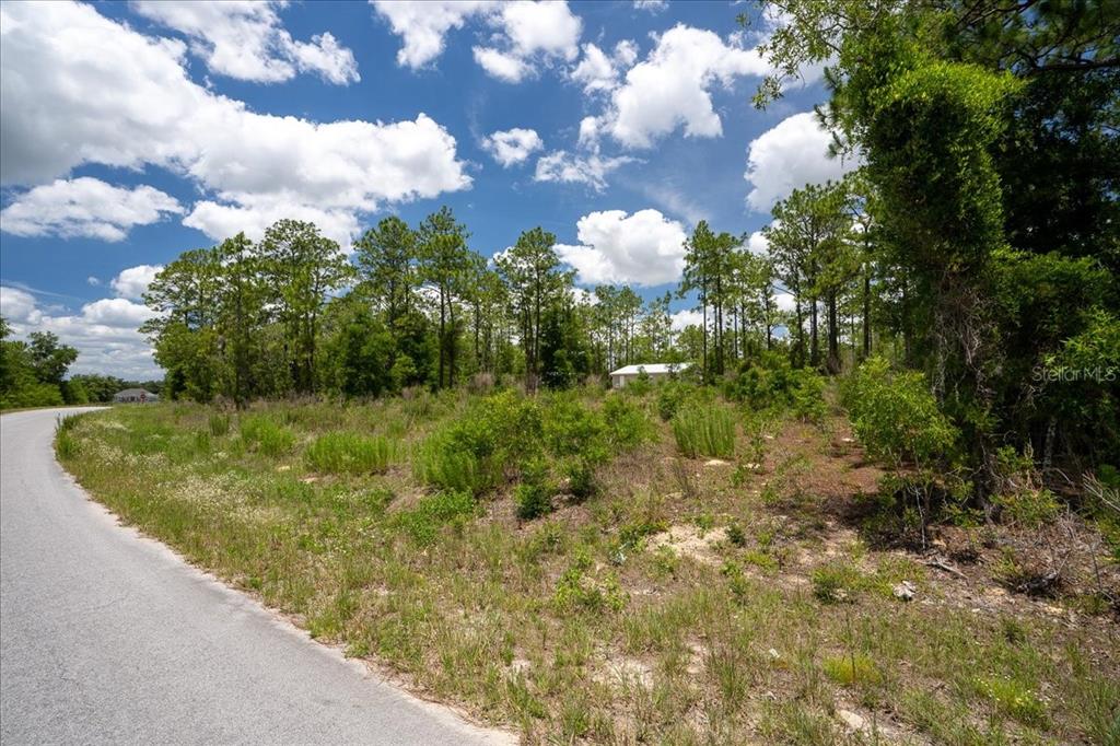 A paved road curves past a vacant, grassy lot with scattered trees and shrubs — NE 4TH LANE, WILLISTON, FL