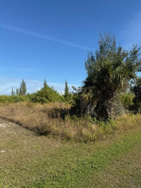 A grassy, undeveloped lot features a large palm tree and scattered brush under a sky — 15309 TAURUS CIRCLE, PORT CHARLOTTE, FL