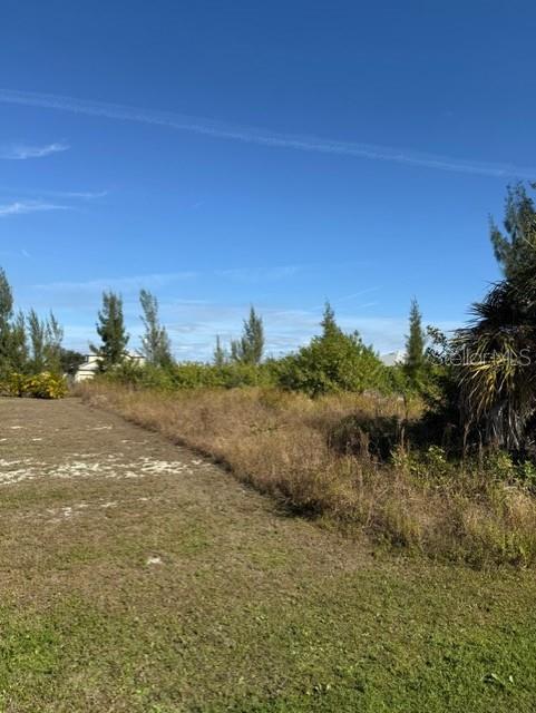 A grassy, undeveloped lot features scattered trees and shrubs under a clear blue sky — 15309 TAURUS CIRCLE, PORT CHARLOTTE, FL