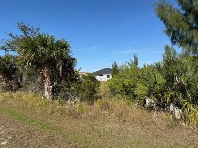 A view of a vacant lot with palm trees and a house in the distance — 15309 TAURUS CIRCLE, PORT CHARLOTTE, FL