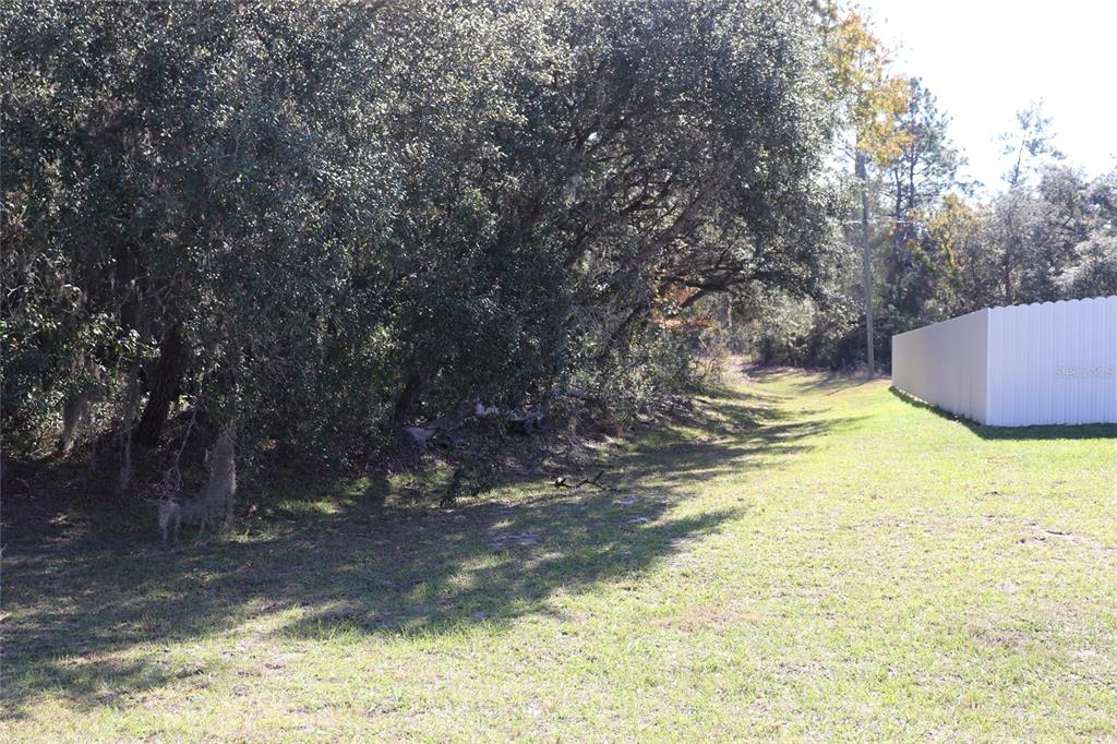 A grassy yard borders a line of mature trees next to a white privacy fence — TBD SW 157TH STREET, OCALA, FL