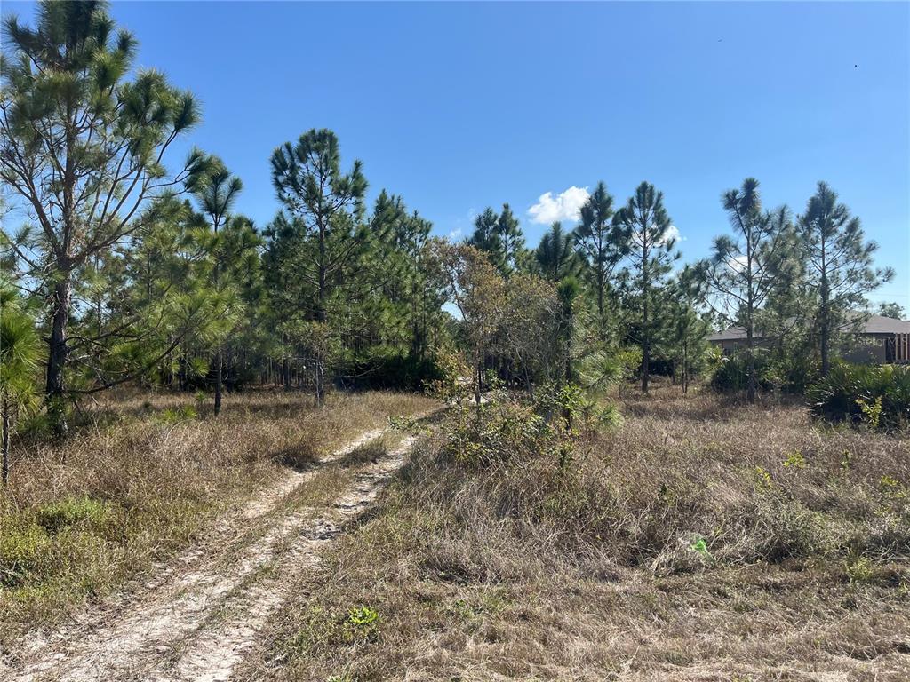 A dirt path leads through a grassy, wooded lot with pine trees under a blue sky — 1247 BRUNELL AVENUE, FORT MYERS, FL