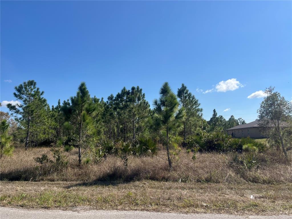 A vacant, grassy lot features scattered pine trees and low-lying brush under a clear sky — 1247 BRUNELL AVENUE, FORT MYERS, FL