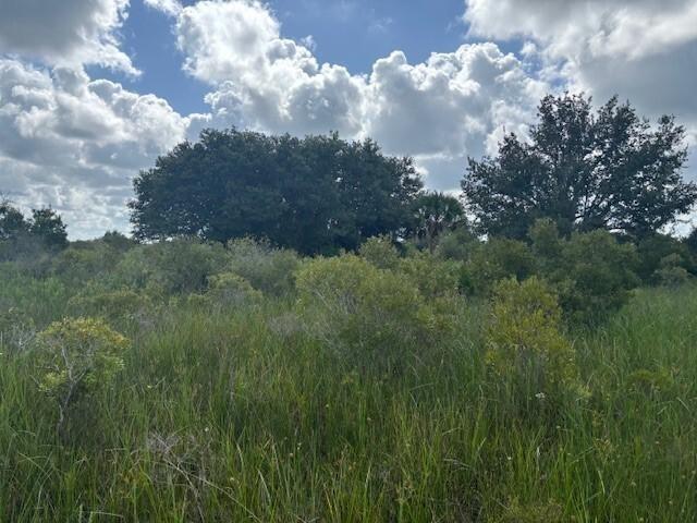 A grassy field with scattered shrubs and large trees under a cloudy blue sky — 0 NW 316th Street, Okeechobee FL 34972, OKEECHOBEE, FL