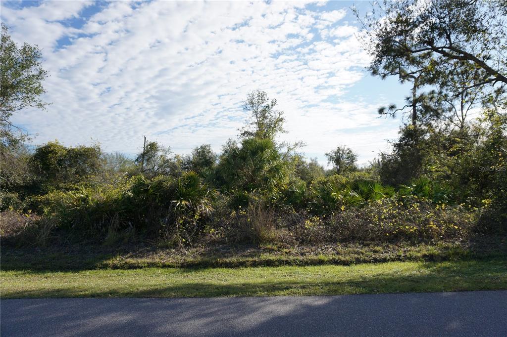 A view of a vacant, wooded lot with dense vegetation and palm trees from a road — 324 OMEN STREET, PUNTA GORDA, FL