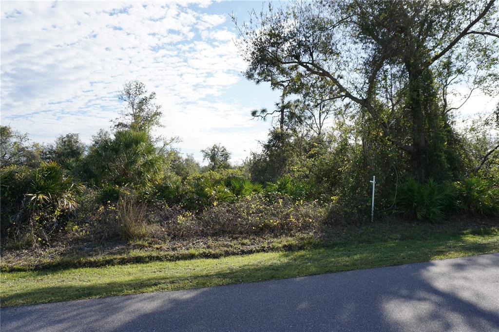 A vacant, wooded lot with dense vegetation sits beside a paved road under a cloudy sky — 324 OMEN STREET, PUNTA GORDA, FL