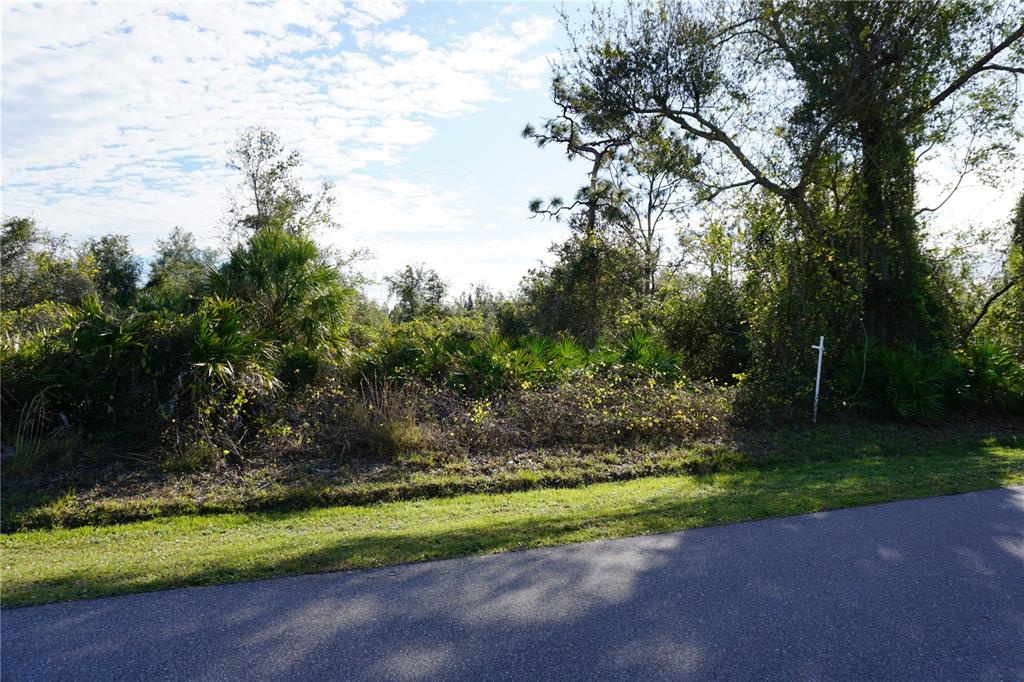 A paved road runs along the front of a densely wooded, undeveloped residential lot — 324 OMEN STREET, PUNTA GORDA, FL