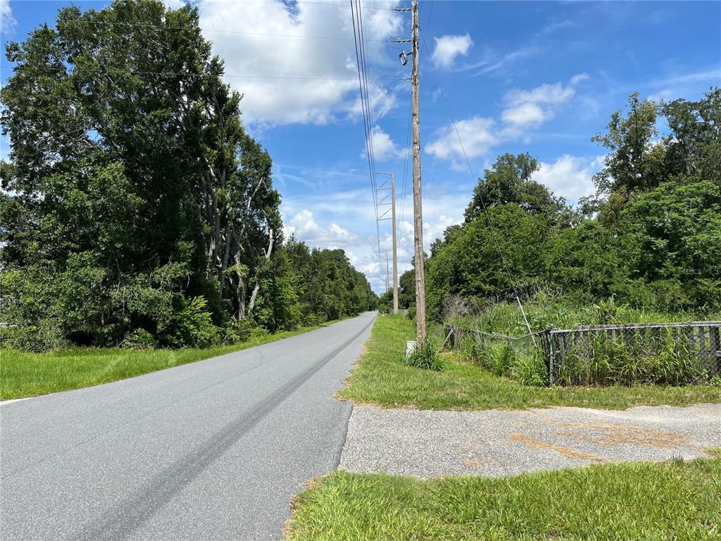 A paved road stretches into the distance past a utility pole and dense roadside trees — 411 ALIBRANDI ROAD, LEESBURG, FL