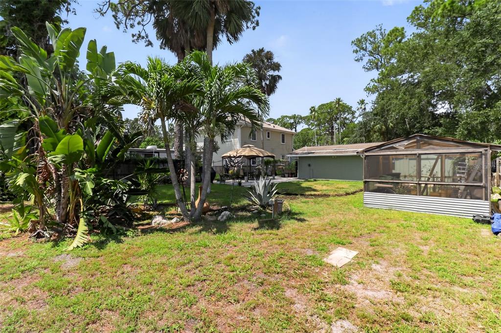 A backyard with a screened-in porch, a gazebo, palm trees, and a two-story house — 7212 WEDGEWOOD DRIVE, NEW PORT RICHEY, FL