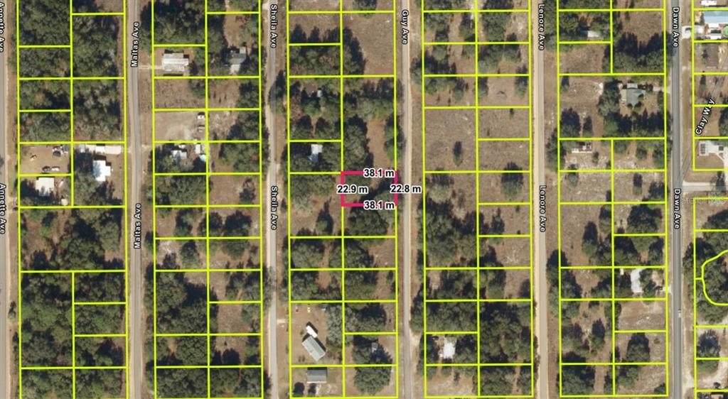 This is an aerial map showing a highlighted rectangular land parcel between two dirt roads — 600-604 GUY AVE, INTERLACHEN, FL
