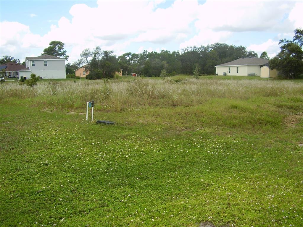 A grassy, undeveloped residential lot sits between two houses under a cloudy sky — 1943 MANATEE DRIVE, KISSIMMEE, FL