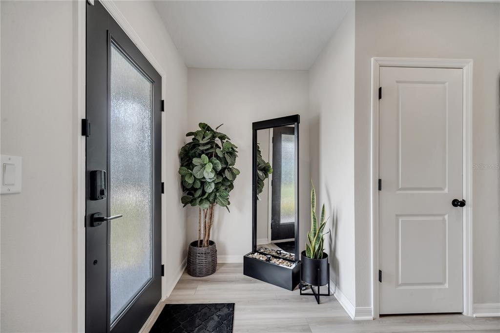 A bright entryway features a black front door, a tall mirror, and two potted plants — 10836 WATERWOOD ALLEY, ORLANDO, FL