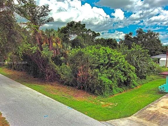 A vacant, overgrown corner lot is bordered by a paved road and a grassy lawn — 21511 CARLETON AVENUE, PORT CHARLOTTE, FL