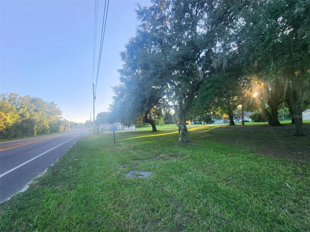 A grassy lot with several large oak trees sits beside a paved road — 00 LAKE DAISY DRIVE, ALTOONA, FL