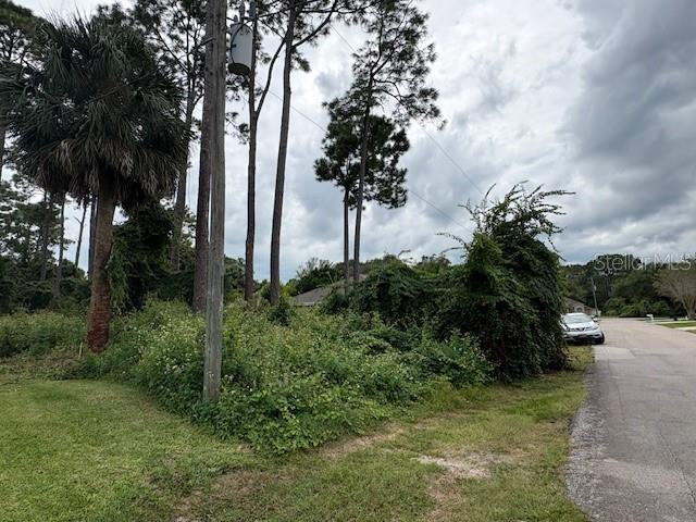 A vacant, overgrown lot with tall trees and a utility pole next to a paved road — 109 FORSYTHE LANE, PALM COAST, FL