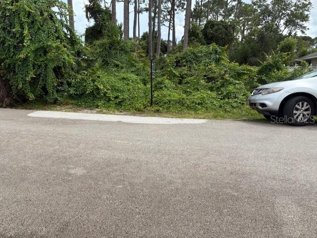 A vacant, overgrown lot sits next to a paved road with a car parked nearby — 109 FORSYTHE LANE, PALM COAST, FL