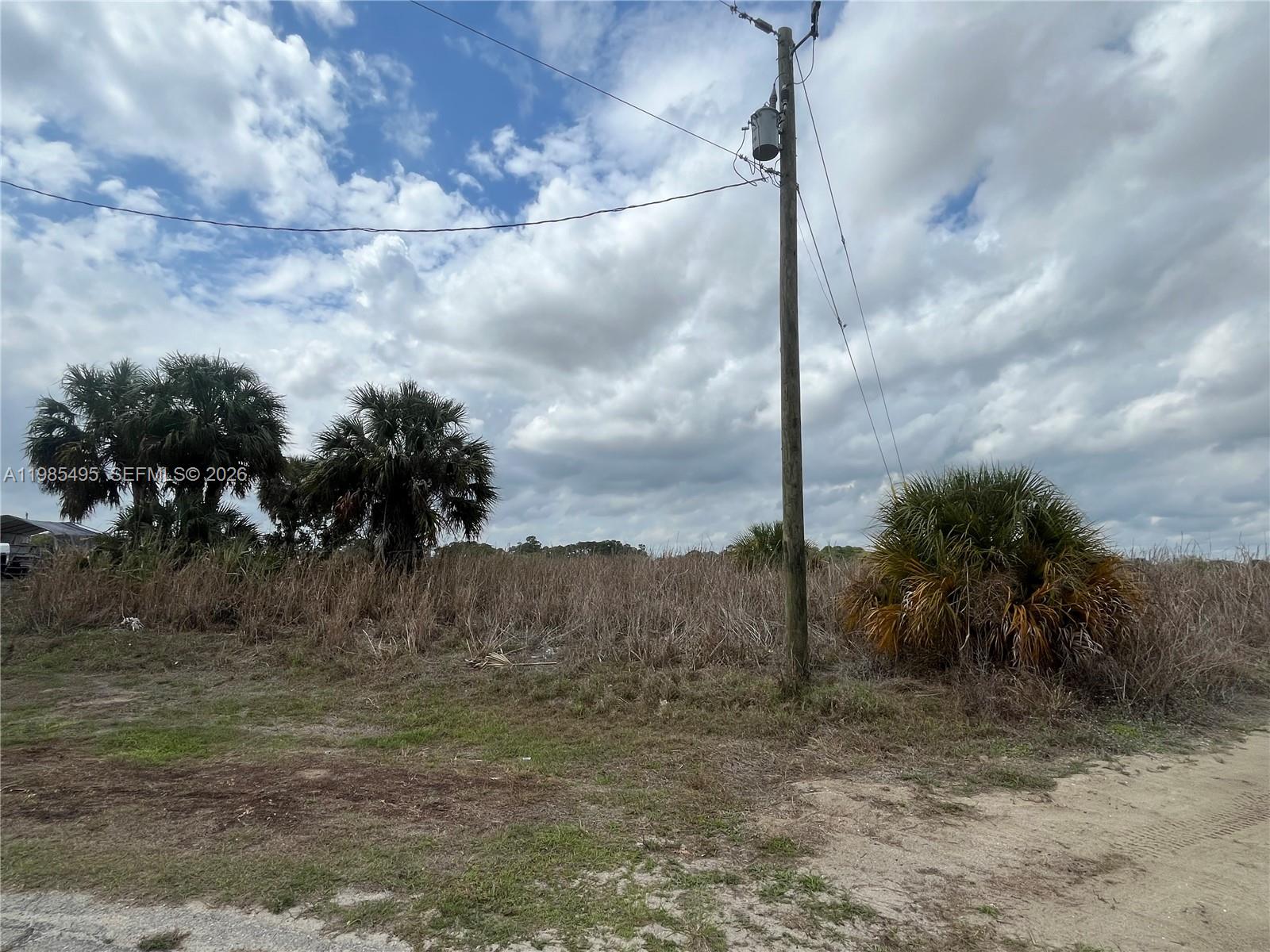 A utility pole stands in a grassy, undeveloped lot with palm trees and tall weeds — 7025 Beaver Cir, La Belle FL 33935, LA BELLE, FL