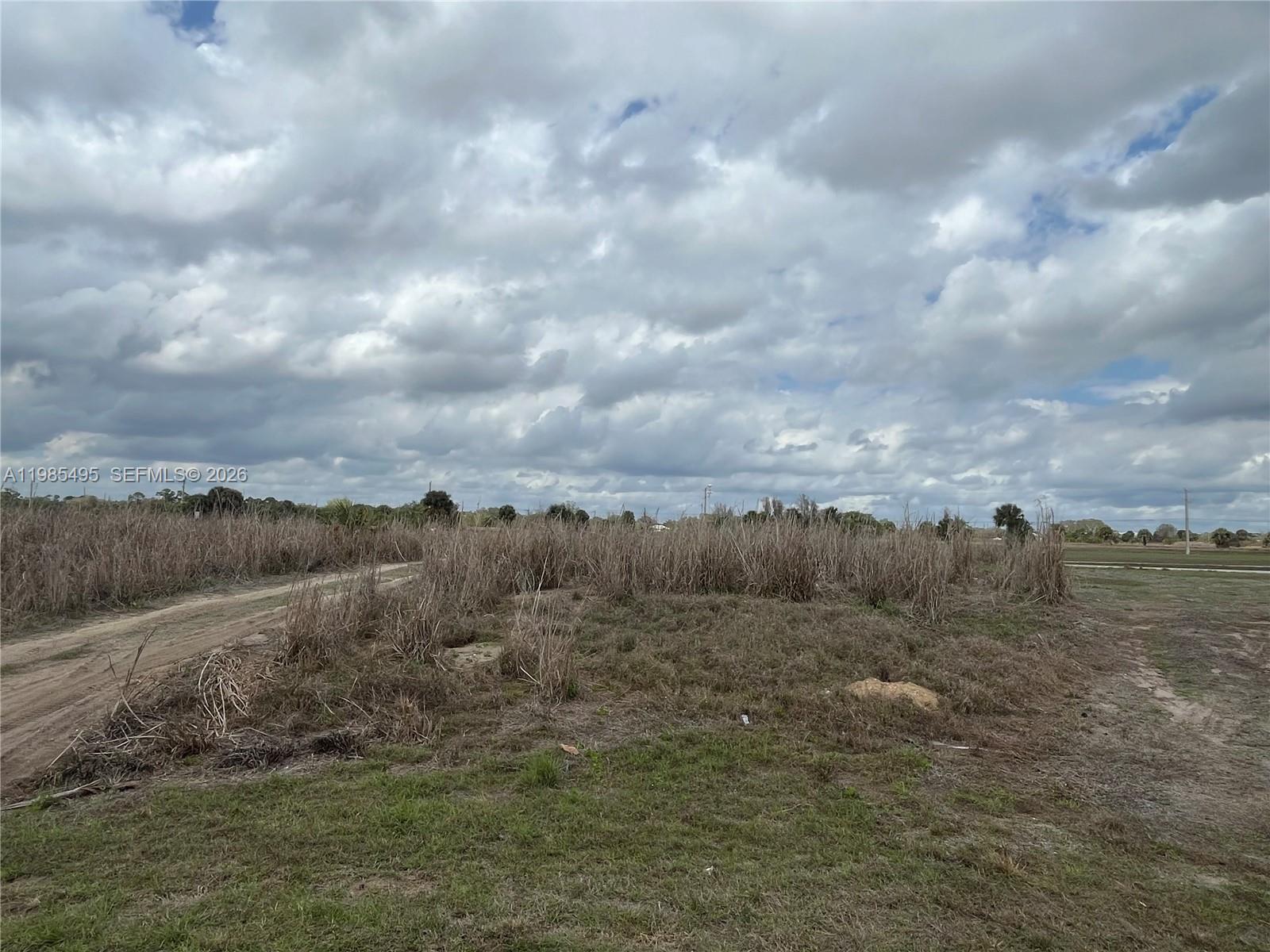 An expansive, undeveloped grassy lot features tall dry vegetation and a dirt path under clouds — 7025 Beaver Cir, La Belle FL 33935, LA BELLE, FL