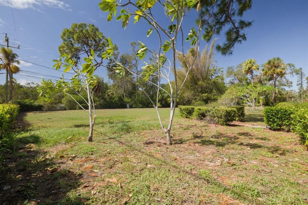 A grassy, sunlit vacant lot features several small trees and surrounding hedges under a blue sky — 2749 EDWARDS AVENUE S, ST PETERSBURG, FL