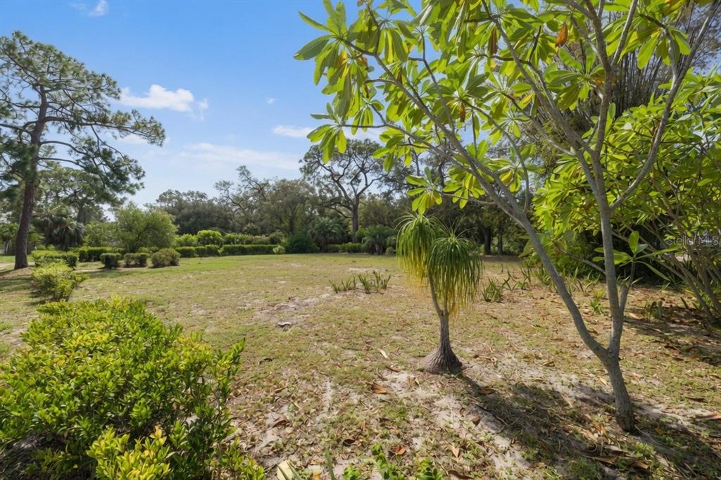 A grassy, sunlit lot features scattered trees, shrubs, and a clear blue sky — 2749 EDWARDS AVENUE S, ST PETERSBURG, FL