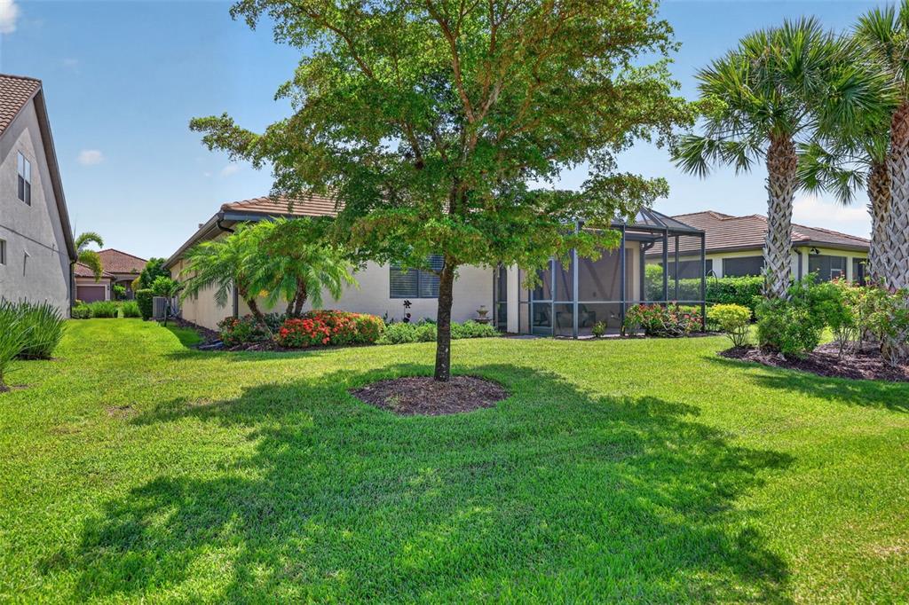 A backyard view of a single-story house with a screened-in patio and a large tree — 16748 BLACKWATER TERRACE, BRADENTON, FL