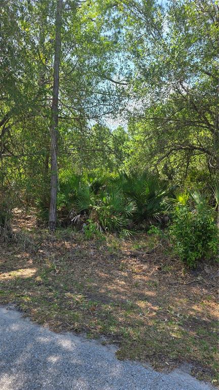 A wooded, undeveloped lot with palm plants and trees viewed from a paved road — 23445 CHIMES AVENUE, PUNTA GORDA, FL