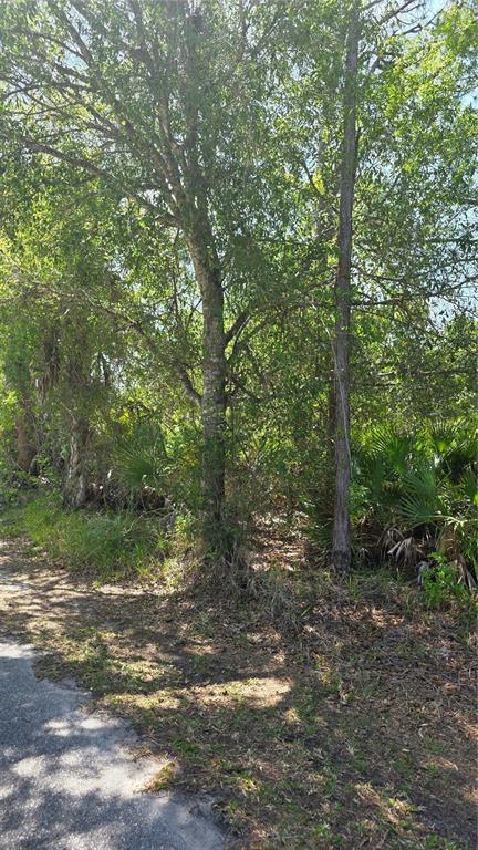 A wooded lot with tall trees and dense undergrowth borders a paved road — 23445 CHIMES AVENUE, PUNTA GORDA, FL