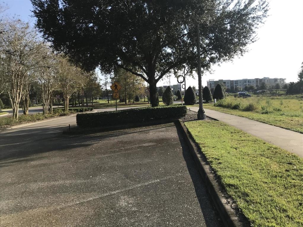 A paved parking area sits beside a sidewalk, a manicured hedge, and a large tree — Parcel 1 - 607 OVIEDO BOULEVARD, OVIEDO, FL