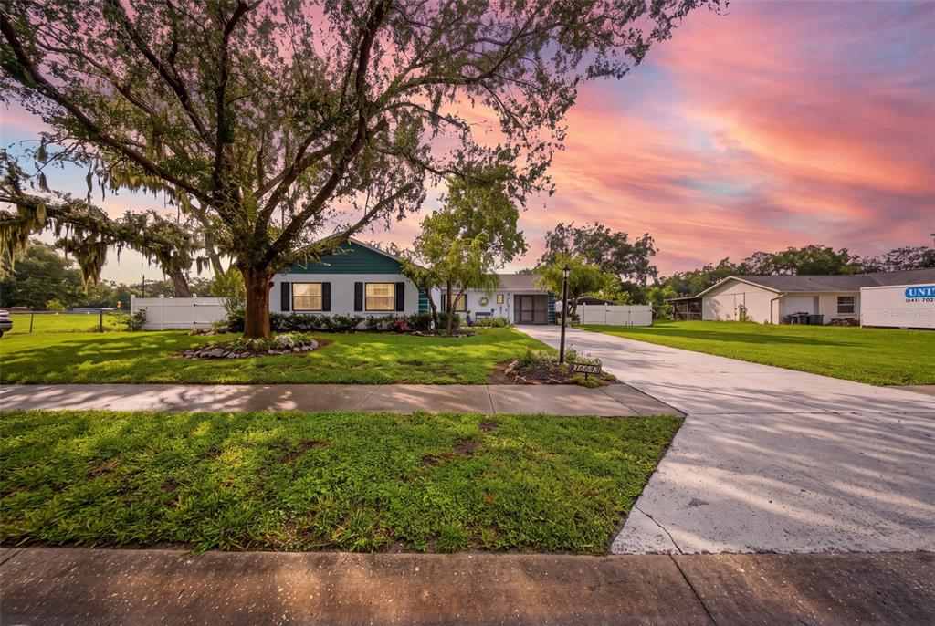 A single-story house with a teal accent wall and a large tree in the front yard — 38648 FERM CIRCLE, ZEPHYRHILLS, FL