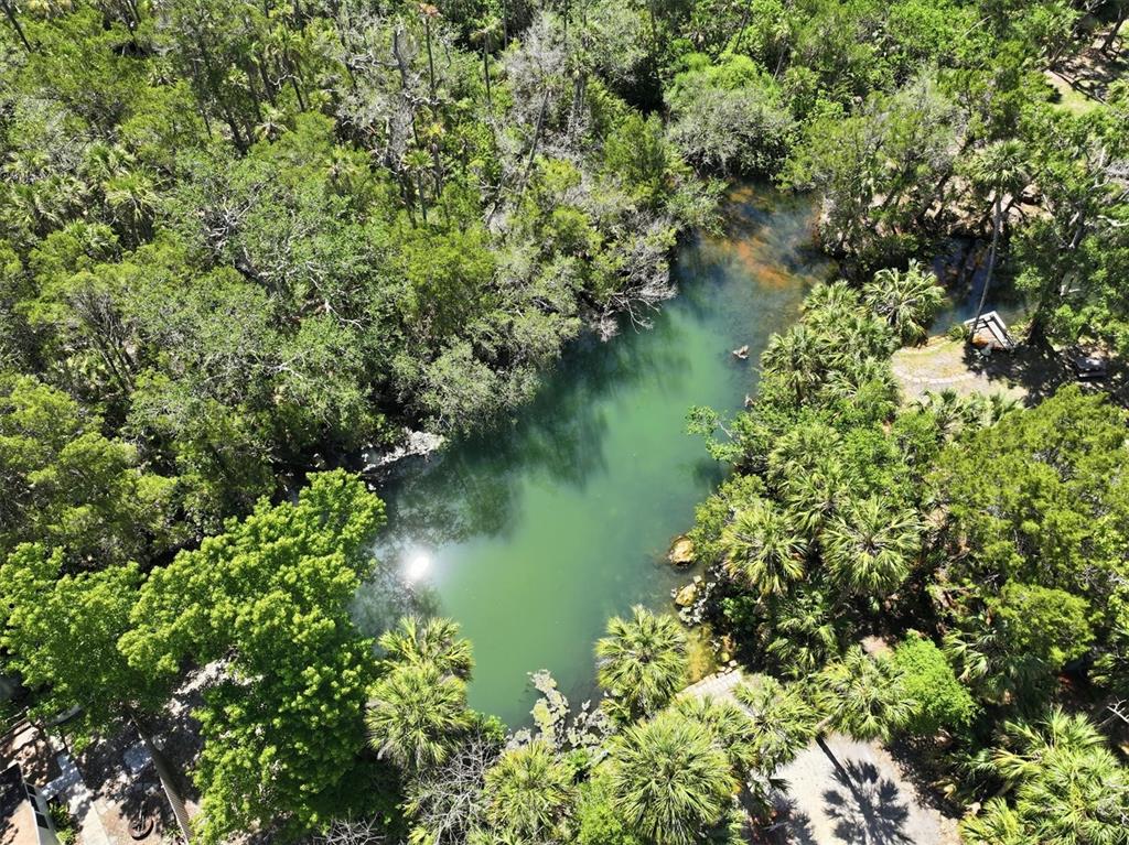An aerial view shows a natural spring surrounded by dense trees and lush vegetation — 6248 COLONY CIRCLE, WEEKI WACHEE, FL