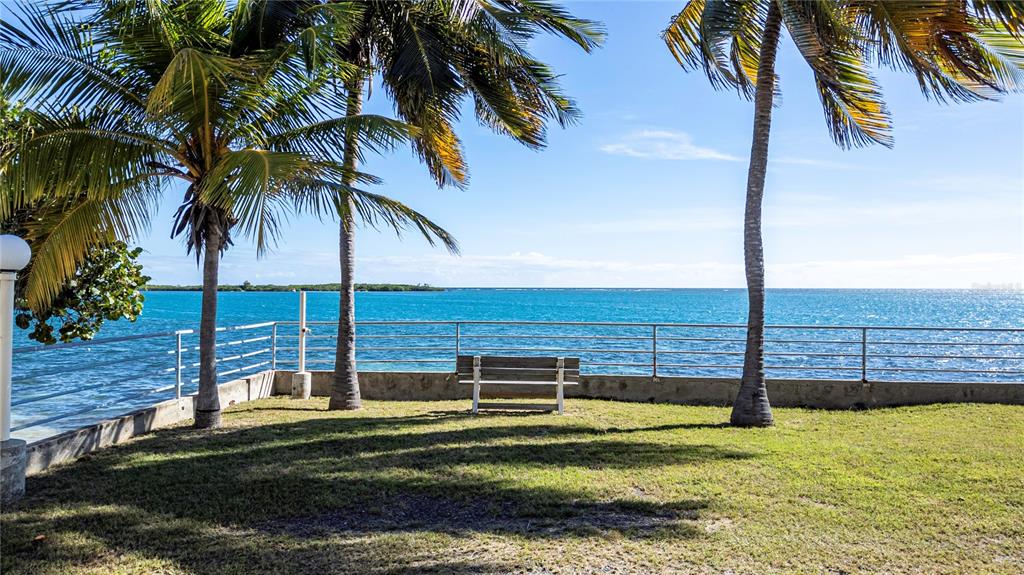 A grassy yard with palm trees and a bench overlooks the ocean behind a railing — 11 CALLE A, GUANICA, PR