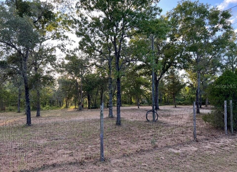 A fenced, wooded lot with a utility pole and sparse ground cover — 12055 FINCH ROAD, WEEKI WACHEE, FL